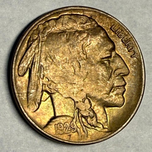 1929 indian head - head, buffalo